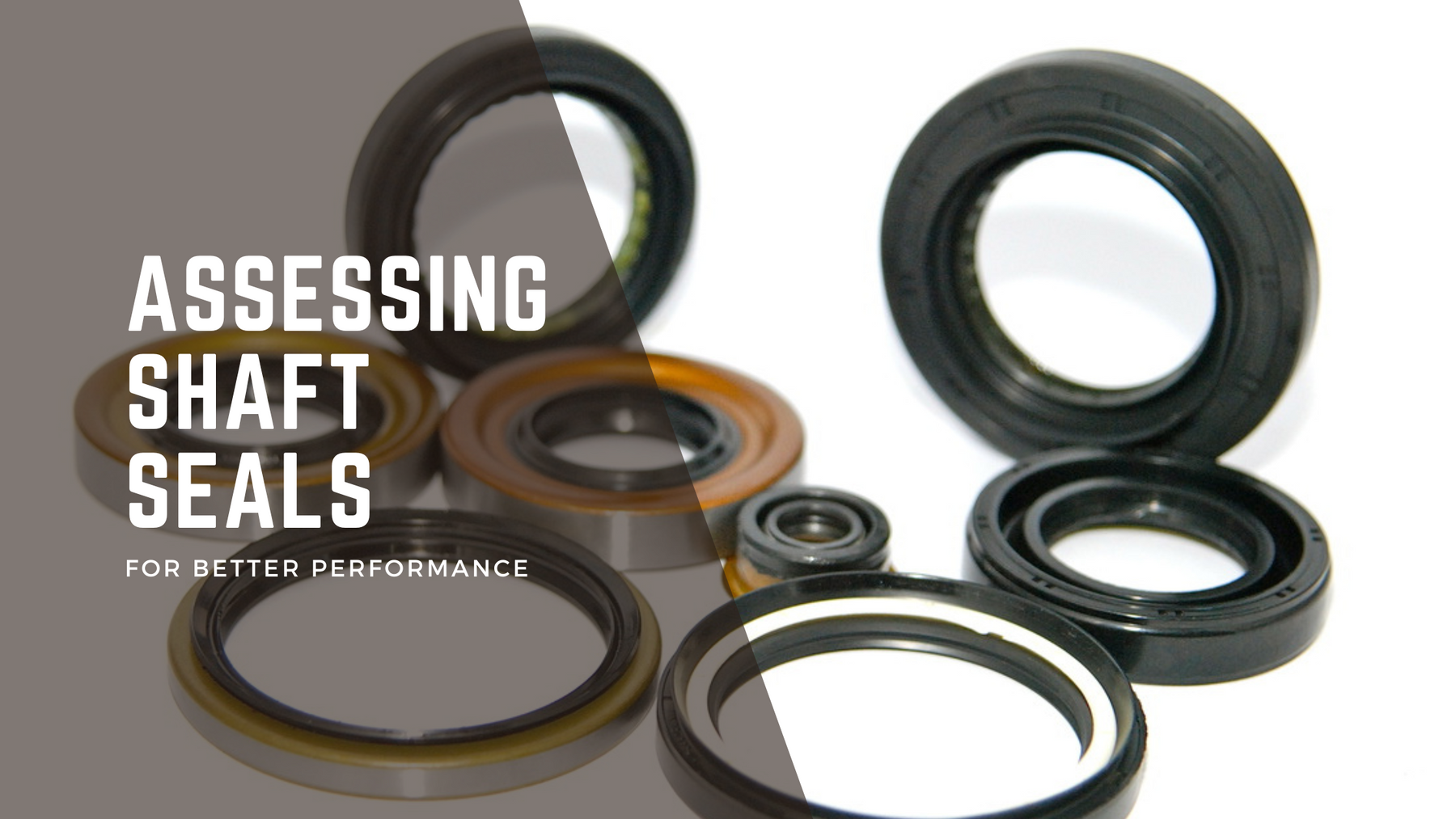 About Oil Seals: An Essential Guide for Hydraulic Pump and Motor Applications