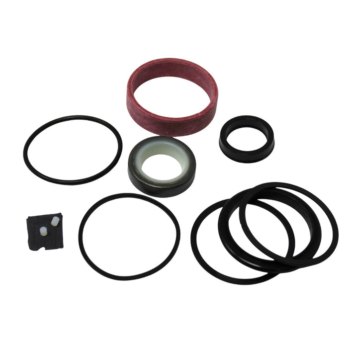 Seal Kit for Allis Chalmers 4864447 - Hydraulic Cylinder - Steer