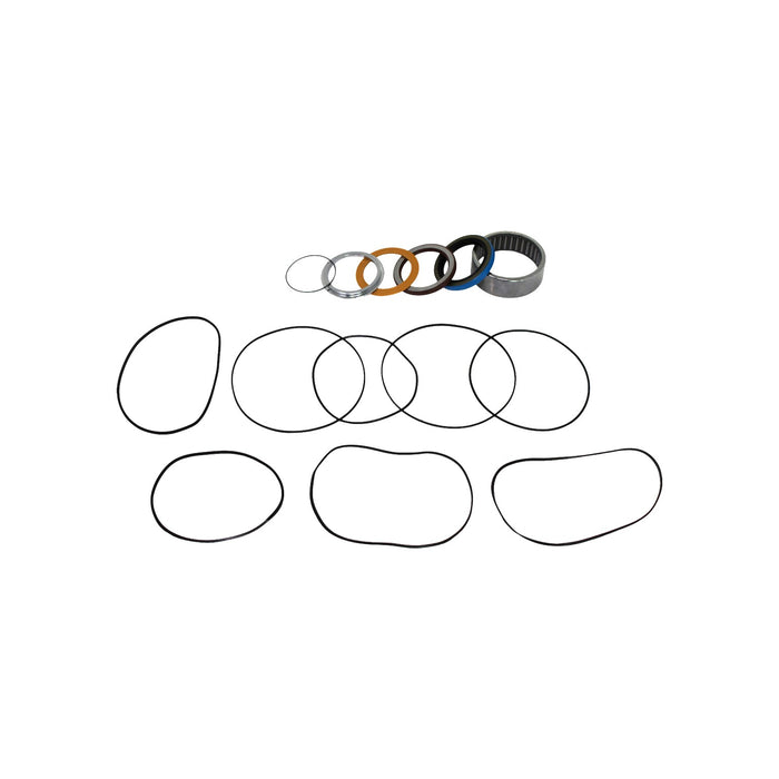 Seal Kit for White (Danfoss) 530230W3131ZAAAA  - Hydraulic Motor