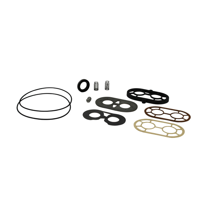 Case 396544R94 - Seal Kit for Hydraulic Pump