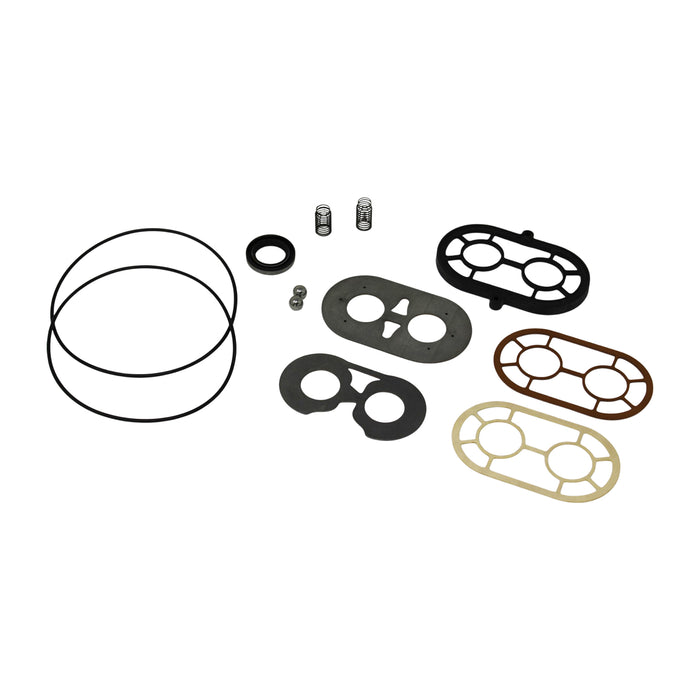 Case 396544R94 - Seal Kit for Hydraulic Pump