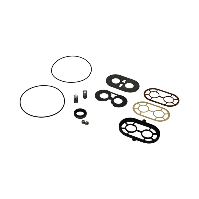 Case 67055C1 - Seal Kit for Hydraulic Pump