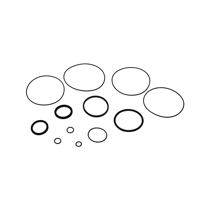Seal Kit for Char-Lynn (Danfoss) UBS100B16A2D Motor
