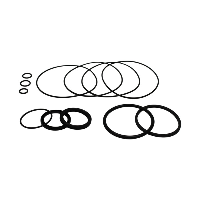 New Holland SBA334293128 - Seal Kit for Steering Control Unit