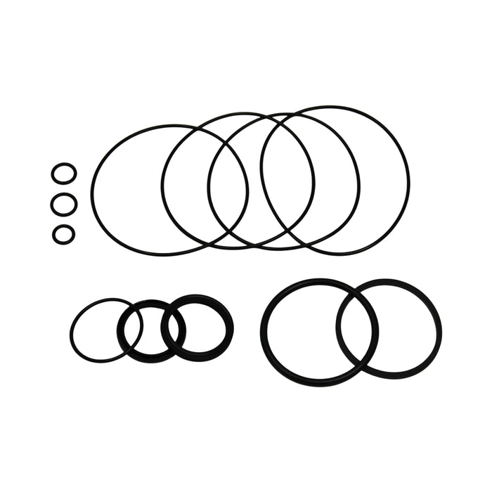 New Holland SBA334293128 - Seal Kit for Steering Control Unit
