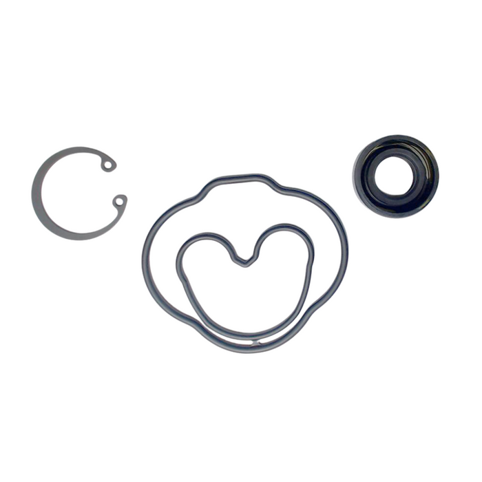 New Holland SBA340490224 - Kit - Seal Kit - Pump