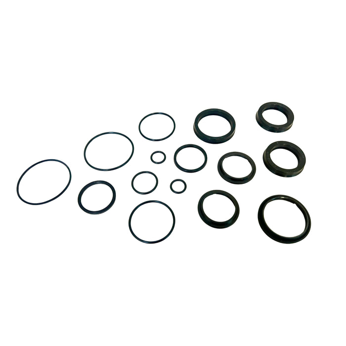 Seal Kit for Big Joe 503996-01 - Freelift Cylinder