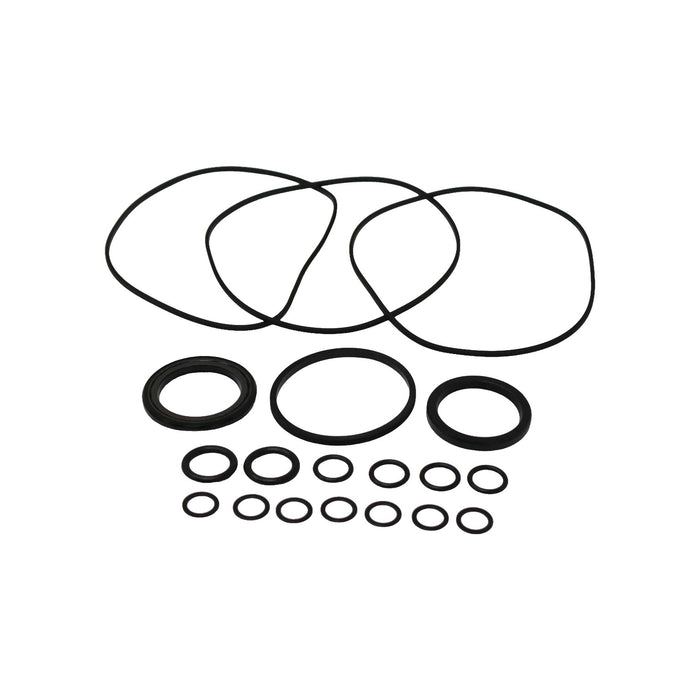 Seal Kit for Bobcat 6646639 Motor