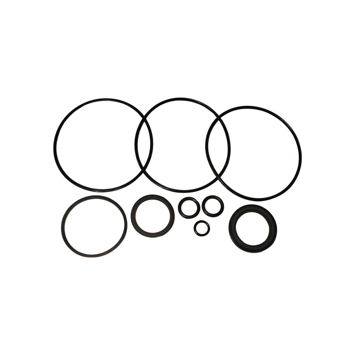 Seal Kit for Char-Lynn (Danfoss) 146-3010-002 Motor — Aztec Hydraulics