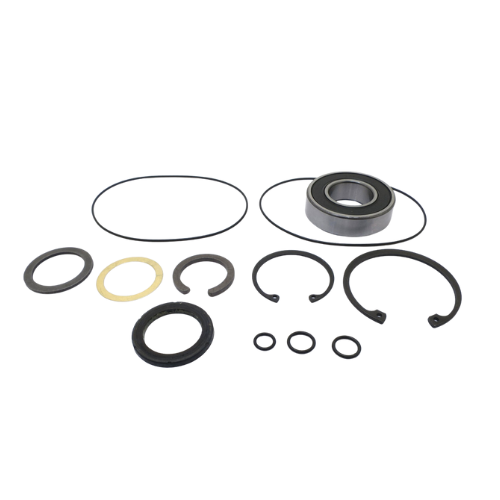 Seal Kit for Char-Lynn (Danfoss) 162-1072-003 Motor