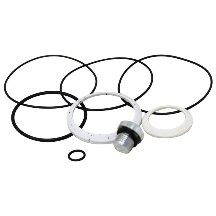 Char-Lynn 61335 - Seal Kit for 4000 Series Bearingless Motors with Mounting Flange