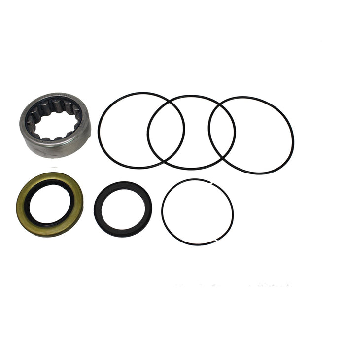 Eaton Char-Lynn 9900436-000 - Seal Kit for DL (Delta) Series Hydraulic Motors