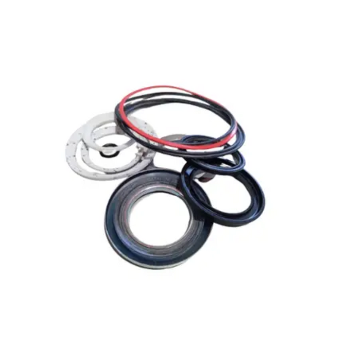 Char-Lynn 9900462-000 - Kit - Seal Kit - Motor