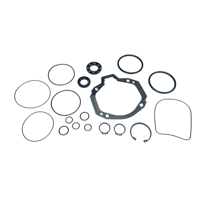 Seal Kit for Gehl P473287 Pump