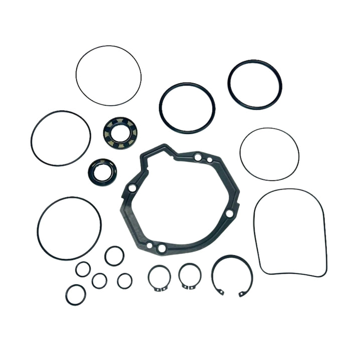 Seal Kit for Gehl P473287 Pump