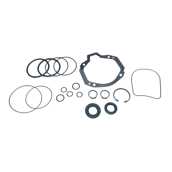 Seal Kit for Gehl P473287 Pump