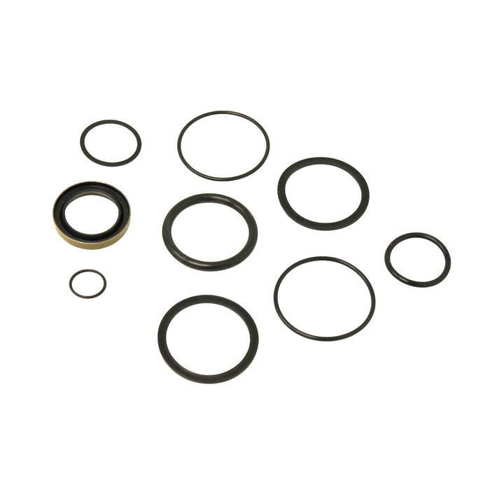 Seal Kit for Chief - 211315 Hydraulic Cylinder