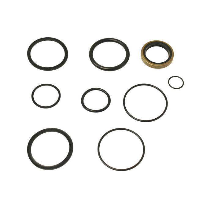 Seal Kit for Chief - 211304 Hydraulic Cylinder