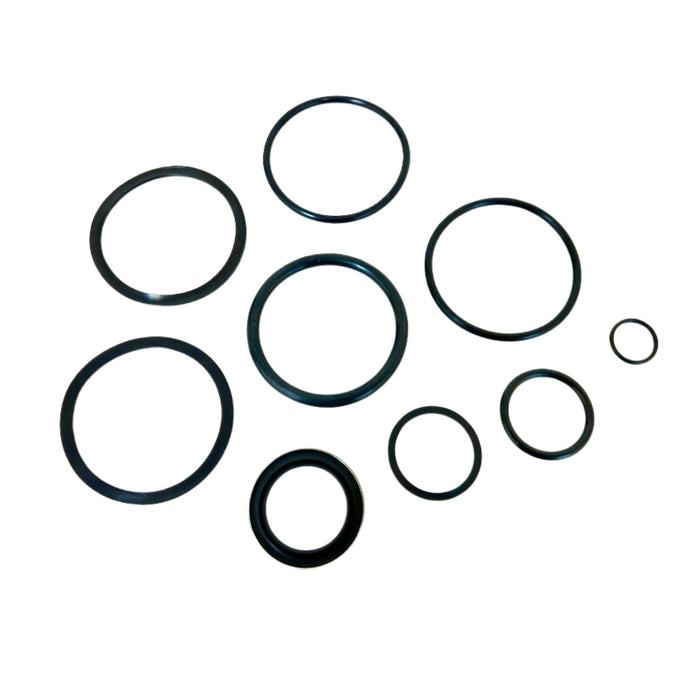 Chief - 203-002 - Seal Kit for Hydraulic Cylinder