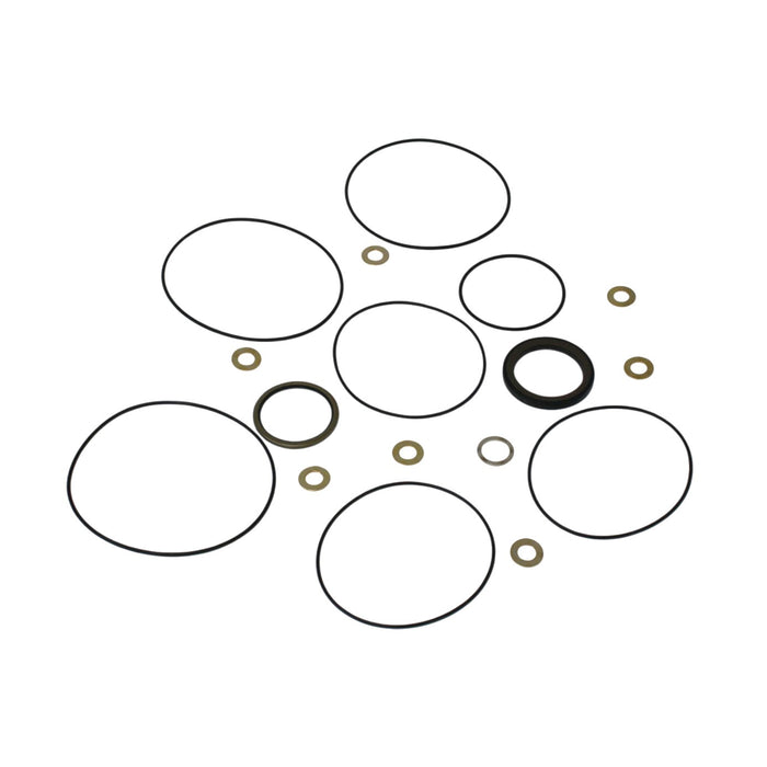 Seal Kit for Danfoss 151-3346 Motor