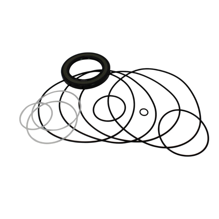 Seal Kit for John Deere 2120134 Motor