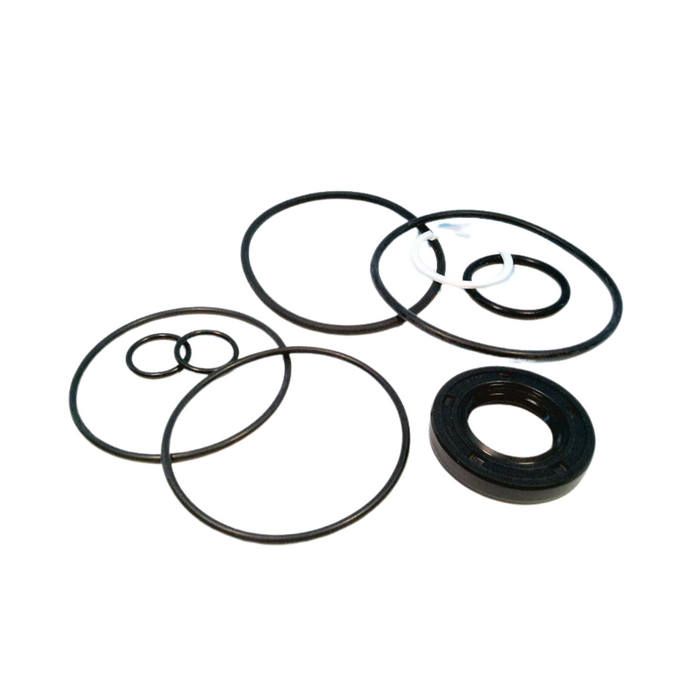 Seal Kit for Vickers V20101F8S4S1AA12 Pump