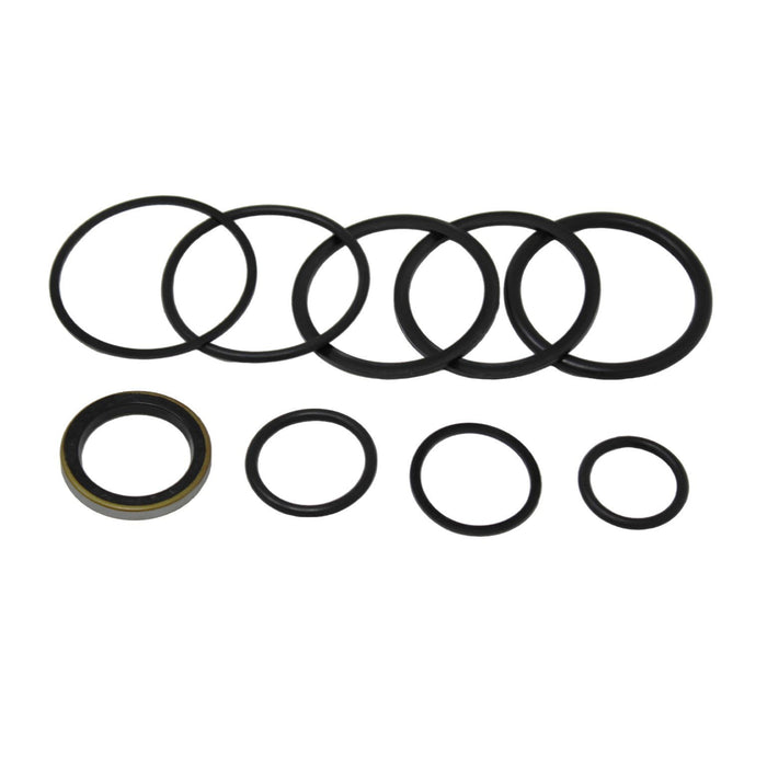 Massey Ferguson 704643M91 - Seal Kit for Lift Cylinder