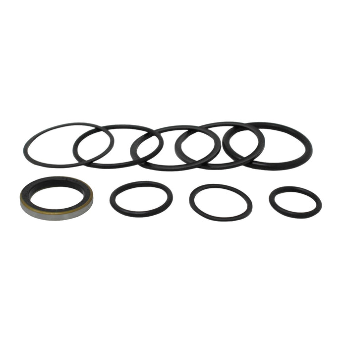 Massey Ferguson 704643M91 - Seal Kit for Lift Cylinder