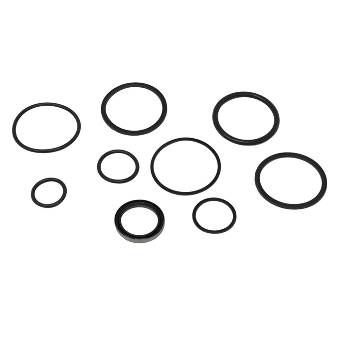Massey Ferguson 704643M91 - Seal Kit for Lift Cylinder