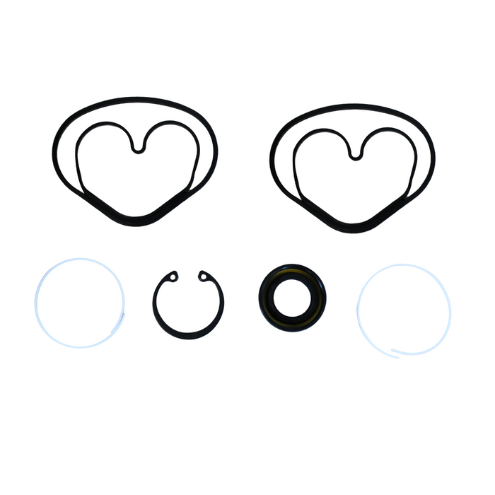 AZK-108 - Seal Kit for 69101-90H00 Nissan Hydraulic Pump