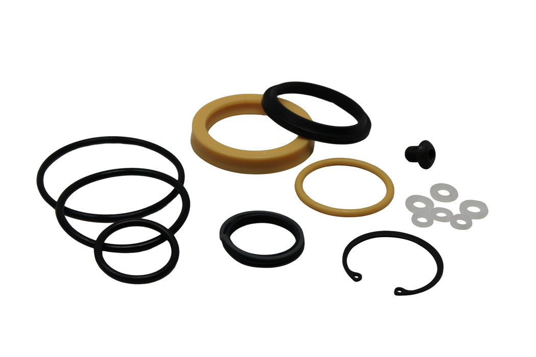 Seal Kit for Raymond 1073256/024 - Hydraulic Cylinder - Lift
