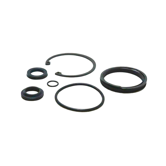 Seal Kit for Raymond 484-050-073/100 - Hydraulic Cylinder - Tilt