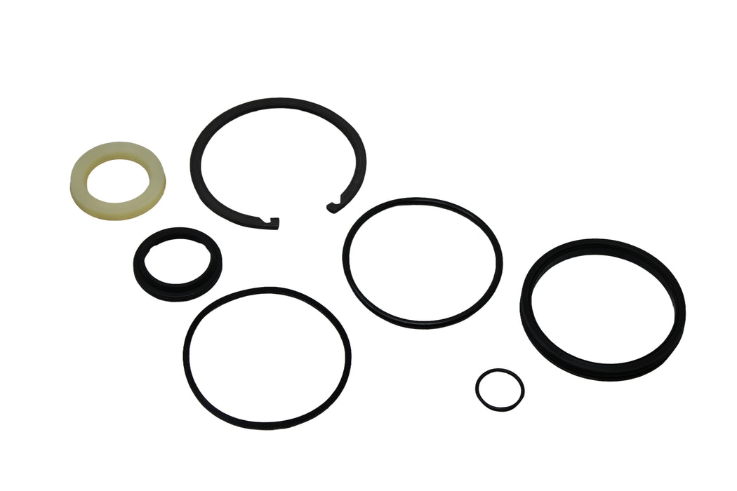 Seal Kit for Raymond 485-000-000/100 - Hydraulic Cylinder - Tilt