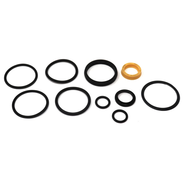 Seal Kit for Raymond 540-089/800 - Hydraulic Cylinder - Reach