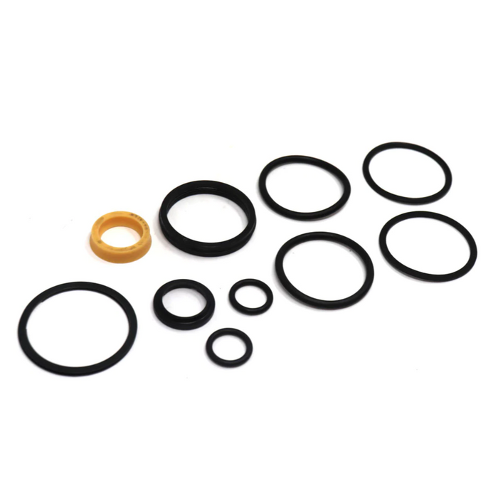 Seal Kit for Raymond 540-047/800/SUBS - Hydraulic Cylinder - Reach