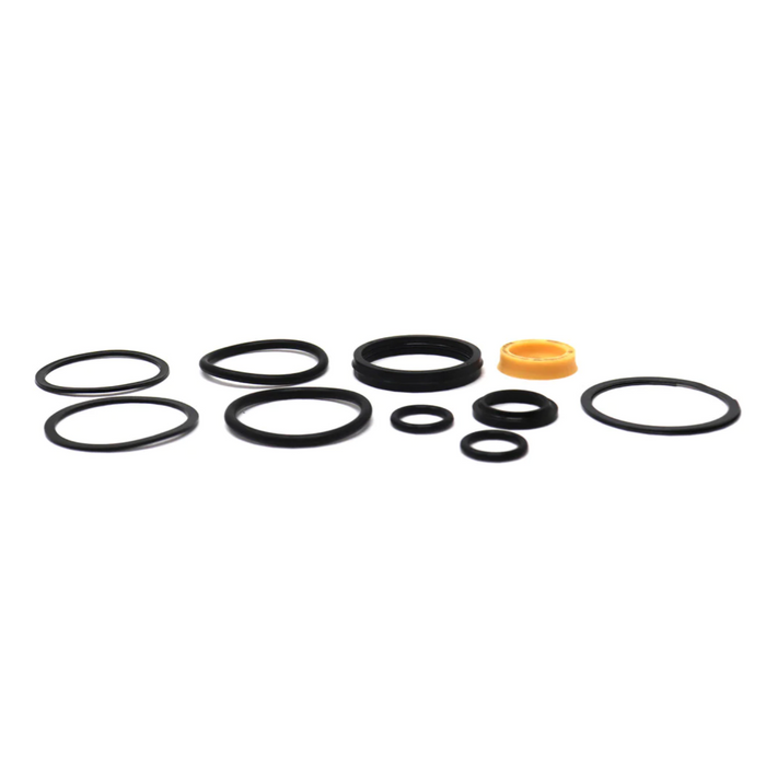 Seal Kit for Raymond 540-047/800/SUBS - Hydraulic Cylinder - Reach