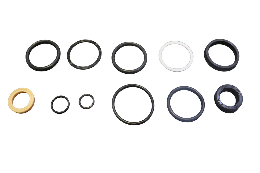 Seal Kit for Skyjack 199224BA - Hydraulic Cylinder - Brake