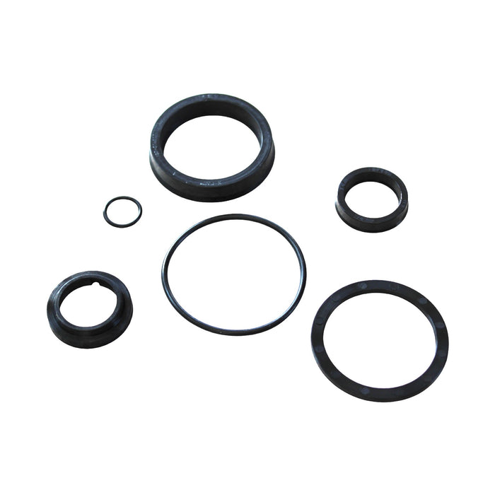Seal Kit for Skyjack 120405 - Hydraulic Cylinder - Steer