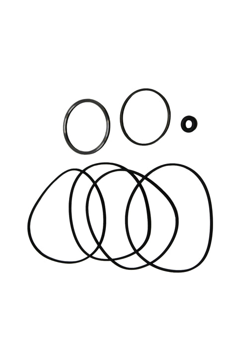 Seal Kit for White (Danfoss) 712750W8131CAAAAP  - Hydraulic Motor