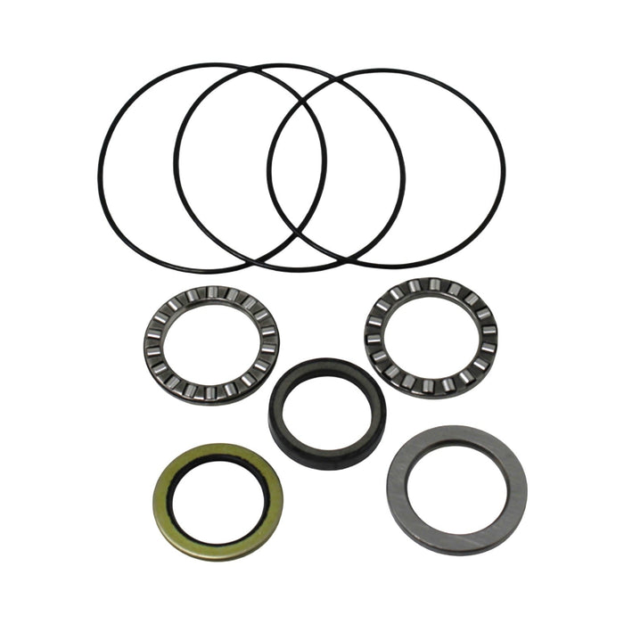 Seal Kit for White (Danfoss) 145160A11B1DAAEG - Hydraulic Motor