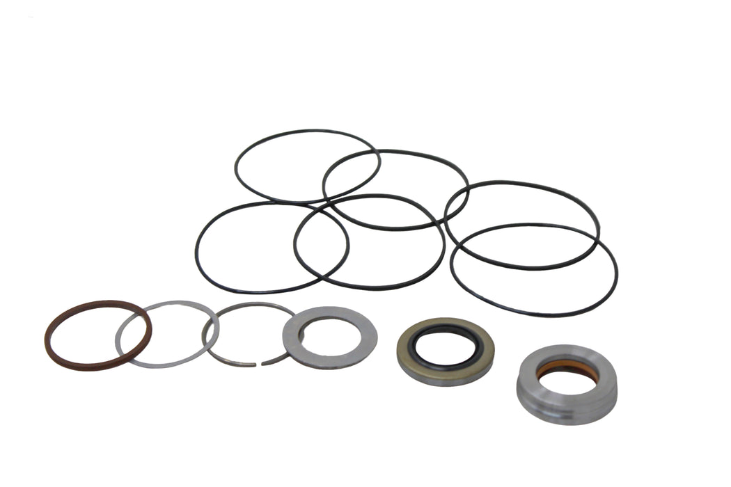 Seal Kit for White (Danfoss) 201250A1002BAAAA  - Hydraulic Motor