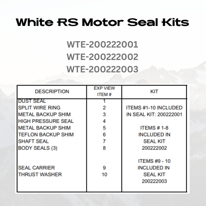 Seal Kit for White (Danfoss) 200125A1702ZAAAC - Hydraulic Motor