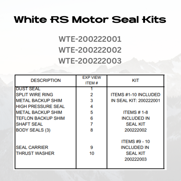 White Hydraulics PS222002 (200222002) - Seal Kit for RS Series Motors