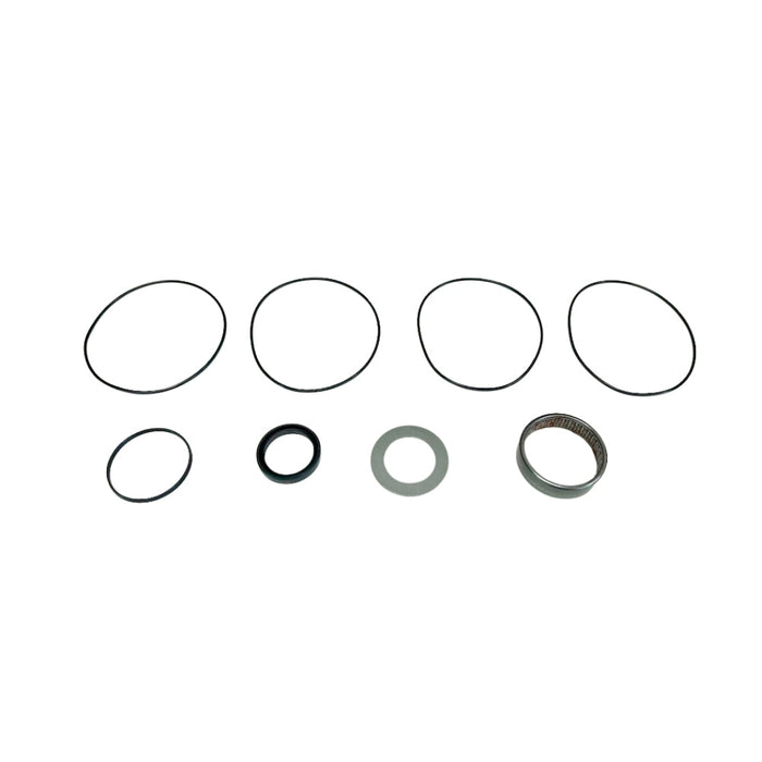 Seal Kit for White (Danfoss) 275230F3013CABAA - Hydraulic Motor