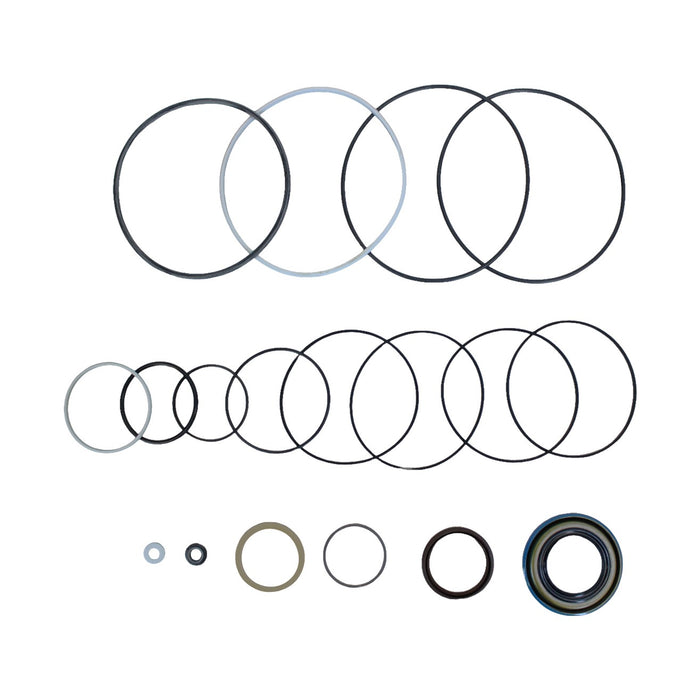Seal Kit for White (Danfoss) 310400B7623AAAGB  - Hydraulic Motor