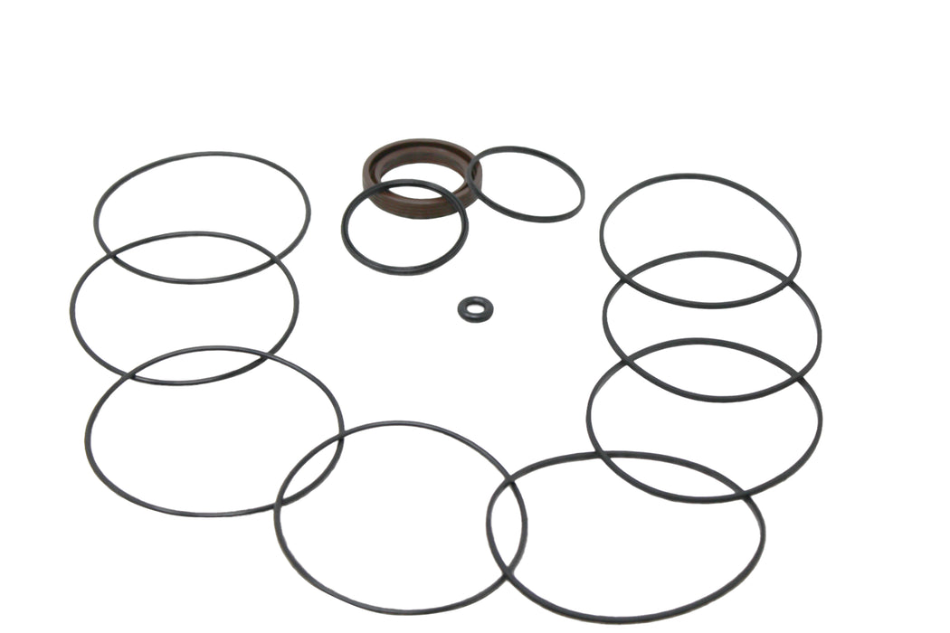 Skyjack 110702 - Kit - Seal Kit - Motor