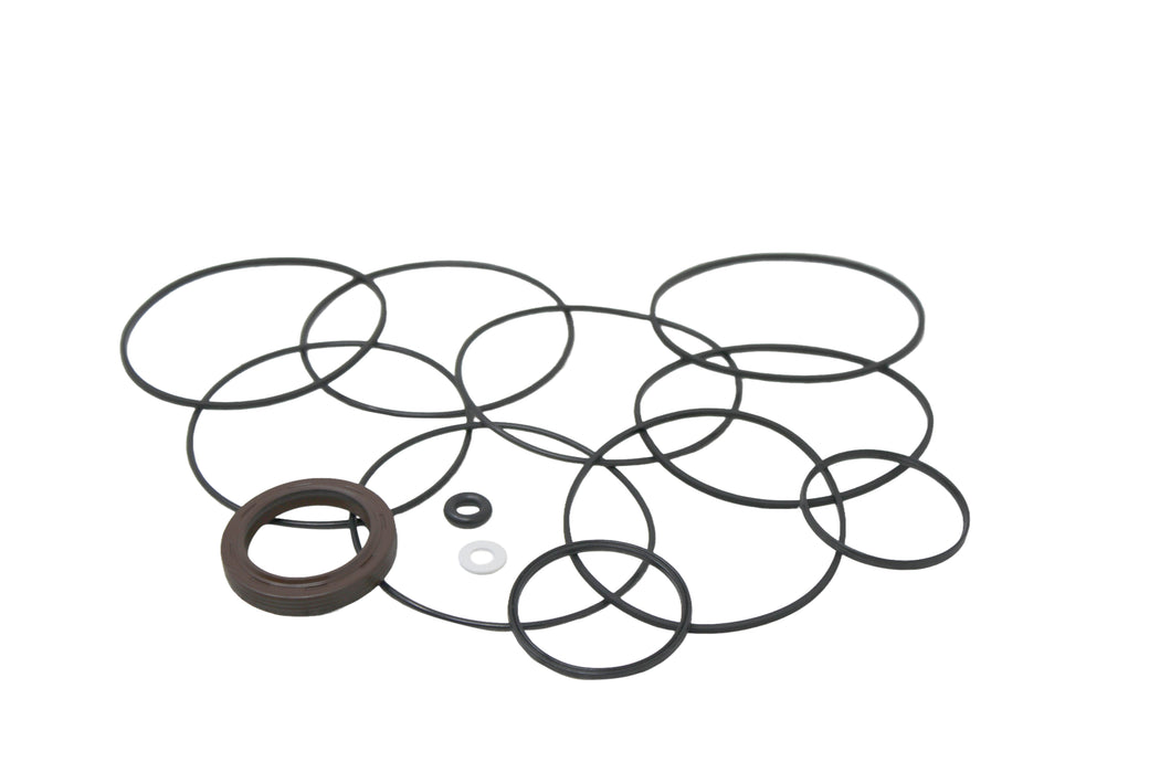 Seal Kit for White (Danfoss) 320090W8122CAAAA - Hydraulic Motor