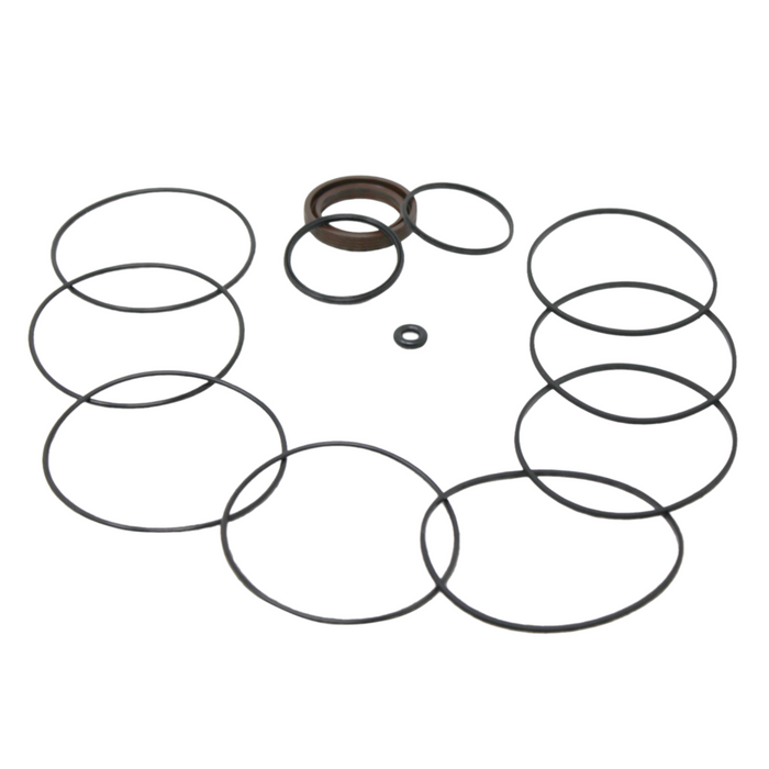 White Hydraulics 300333700 - Kit - Seal Kit - Motor