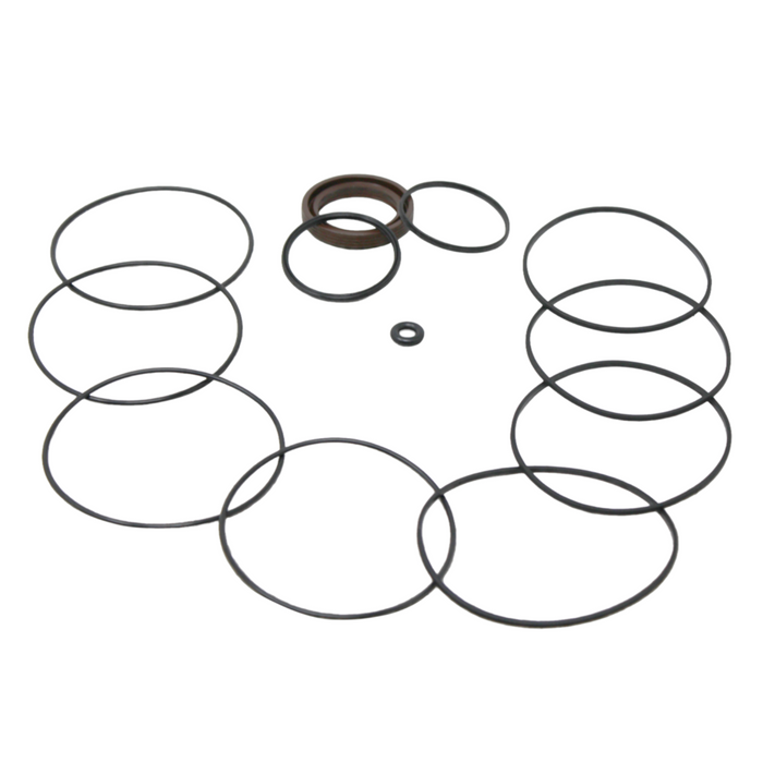 Seal Kit for White (Danfoss) 320125W8723ZAAAC  - Hydraulic Motor