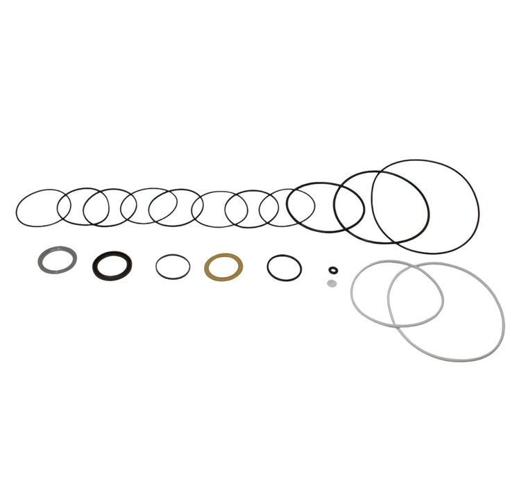 Seal Kit for White Hydraulics 310400B7623AAAGBP Motor